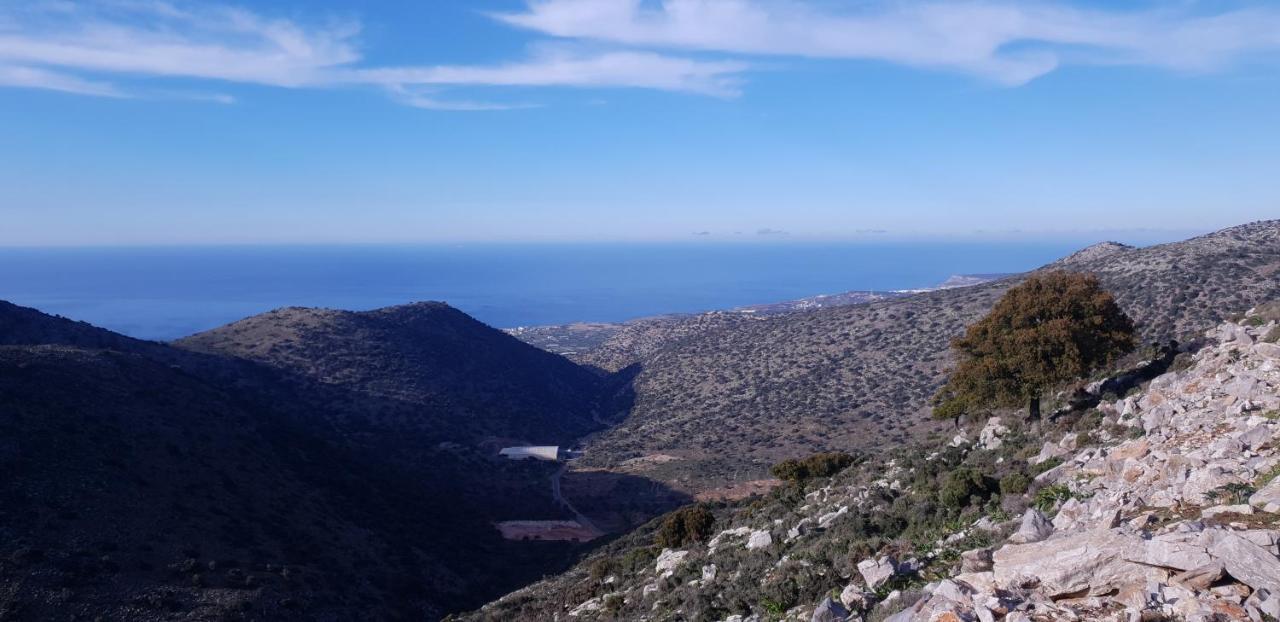 Double Bee Villa With Private Pool Agios Konstantinos  Exterior foto